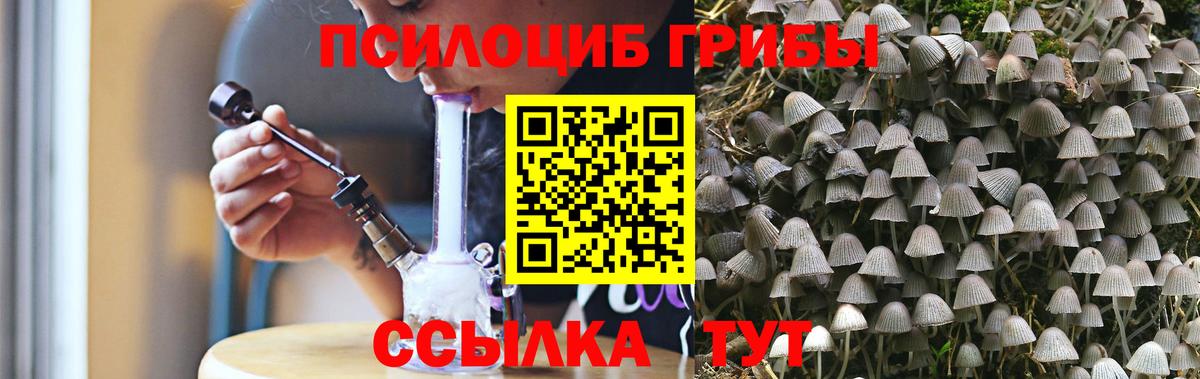Галлюциногенные грибы GOLDEN TEACHER  Псилоцибиновые грибы Cubensis  Славгород  Вход с VPN 